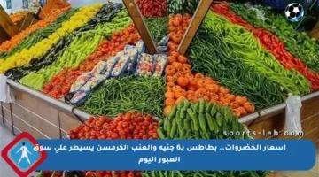أسعار الخضروات.. بطاطس بـ6 جنيه والعنب الكرمسن يسيطر على سوق العبور اليوم